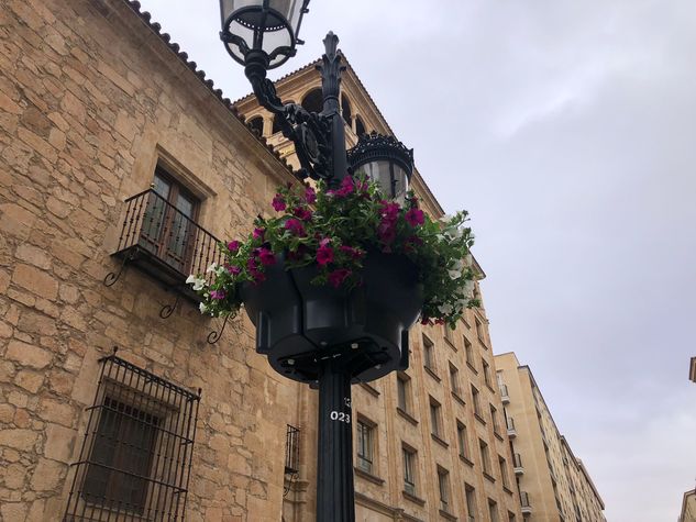 Ejemplo jardinera colgante instalada en Salamanca