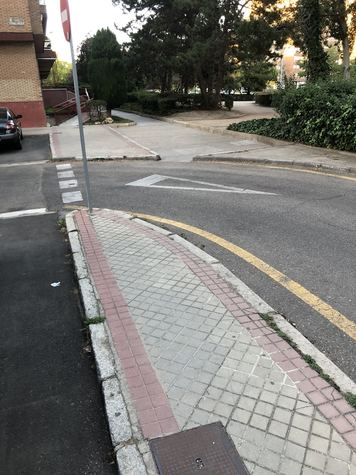 Aceras.jpg