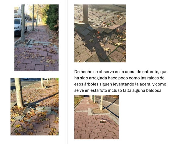 Estado actual de las aceras