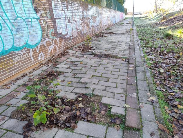 Deterioro de aceras y terrenos COVARESA