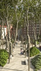 Propuesta de intervención en pl de las Brígidas similar al propuesto