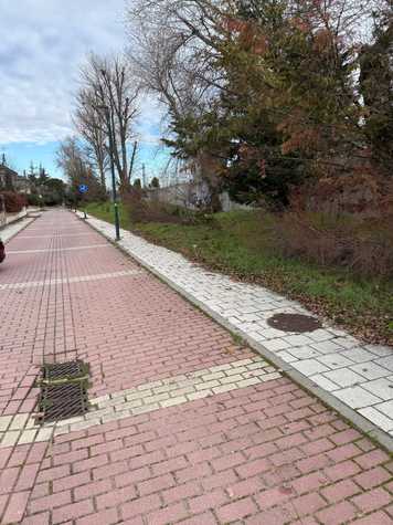 PASEO LORENZO ARRAZOLA